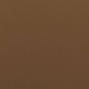 NPT - CAPPUCCINO