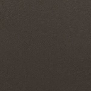 NPT - GRAPHITE