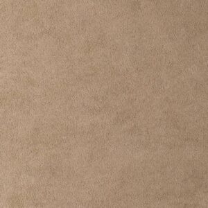 SPS - CAMEL